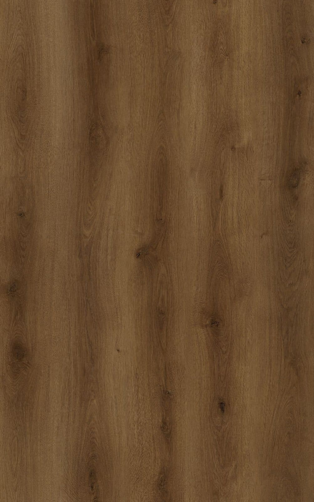 Light vs. Dark — Chewelah Hickory / Arezzo Oak — decor comparison