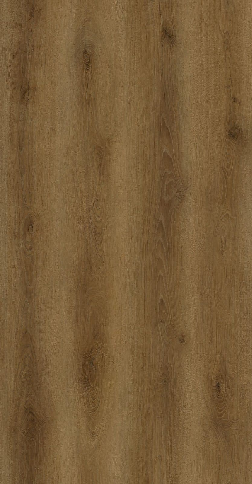 Rypin Oak Cathedral Grain — Rypin Oak · 88325XL-002
